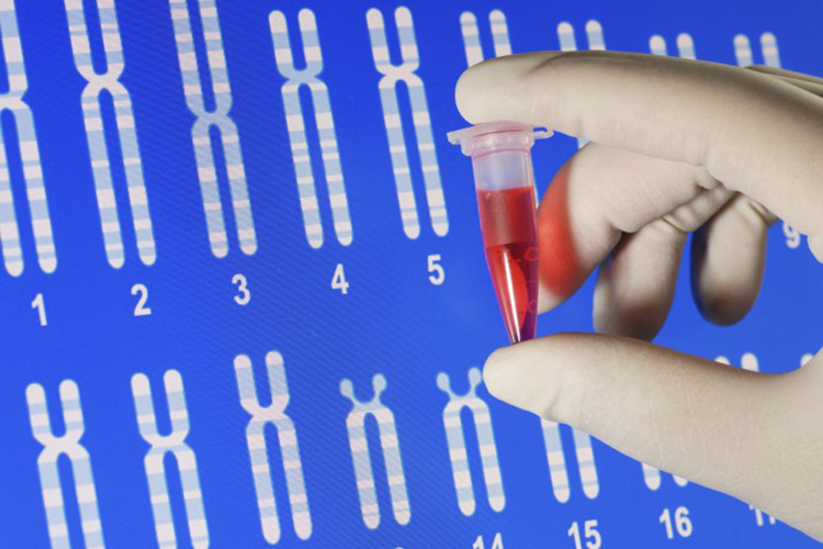 Mitokondrial DNA testi